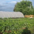 The Complex World of Organic Farming: What You Need to Know