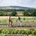 Exploring the Principles and Examples of Regenerative Agriculture in Organic Farming