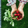 The Pros and Cons of Organic Farming: An Expert's Perspective