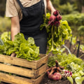 The Benefits of Organic Farming: An Expert's Perspective