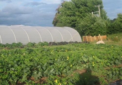 The Complex World of Organic Farming: What You Need to Know