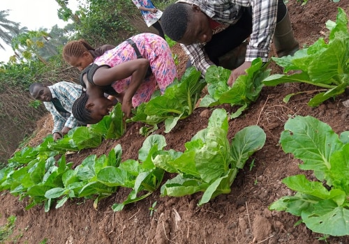 The Forbidden Practices in Organic Farming