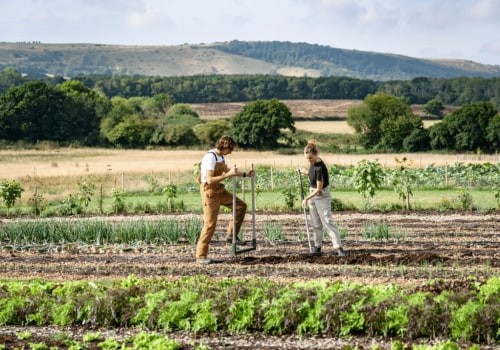 Exploring the Principles and Examples of Regenerative Agriculture in Organic Farming