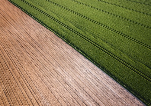 The Impact of Organic Farming on the Environment and Climate Change