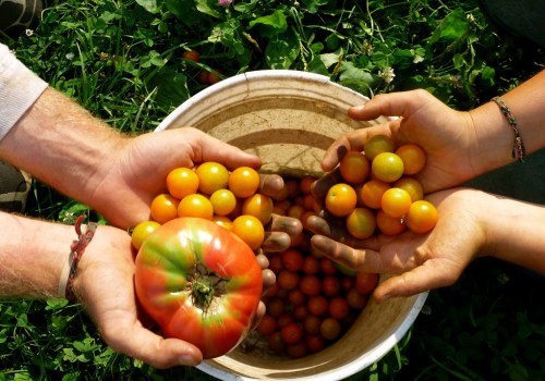 The Profitability of Organic Farming: An Expert's Perspective