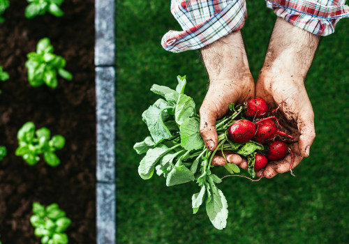 The Pros and Cons of Organic Farming: An Expert's Perspective