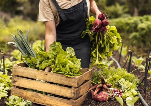 The Benefits of Organic Farming: An Expert's Perspective